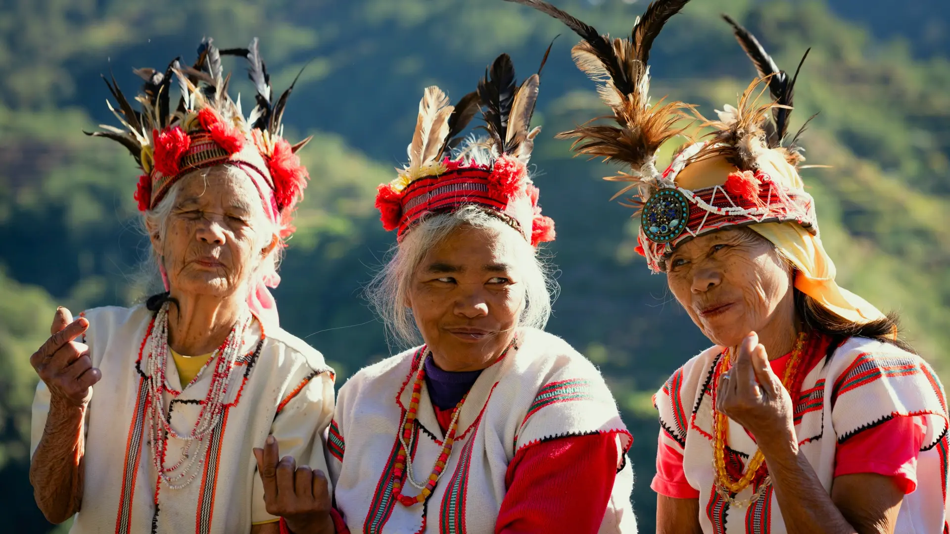 Culture & traditions