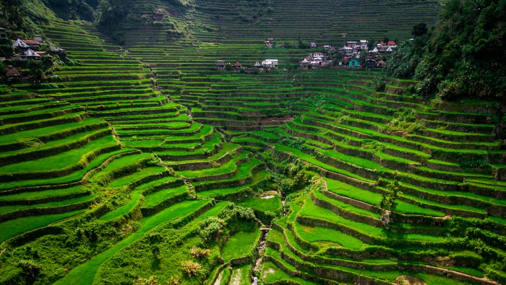 Provincia de Ifugao