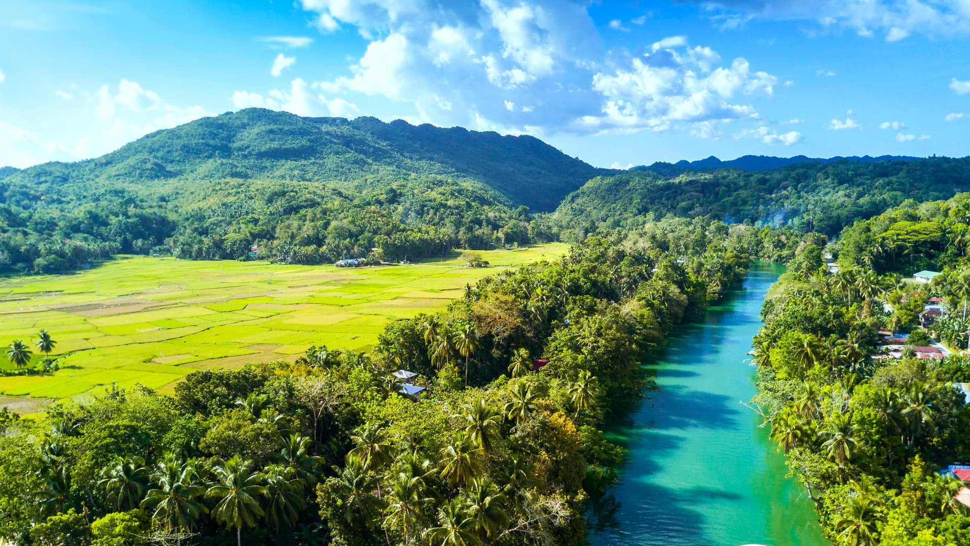 Las Visayas