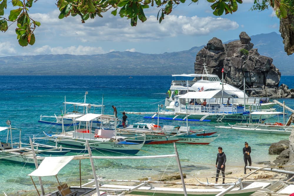 La Isla de Apo