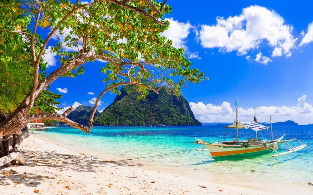 el nido