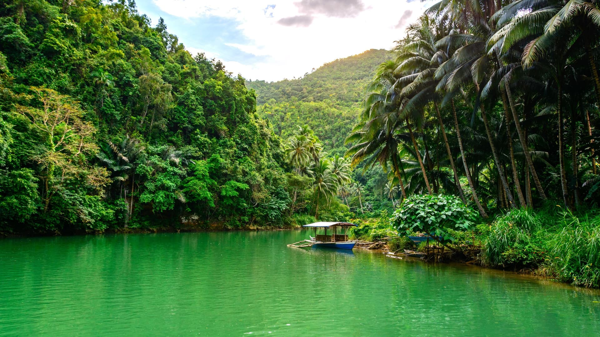 Loboc